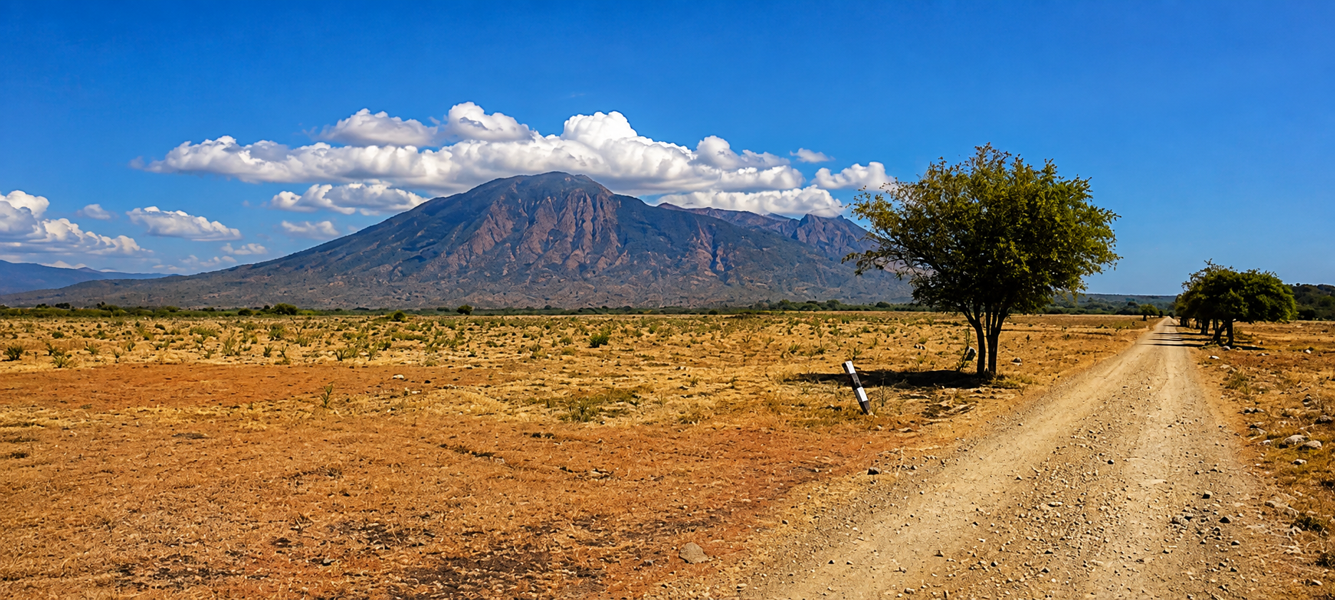 baluran savana-ijentourguide