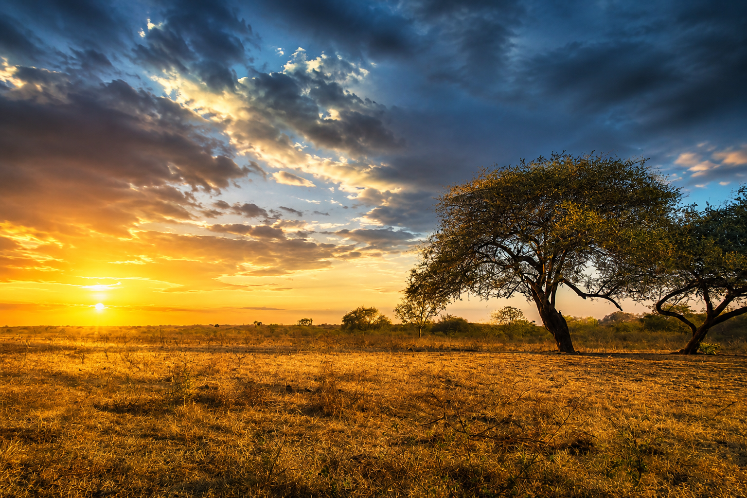 sunset at baluran savana - ijentourguide
